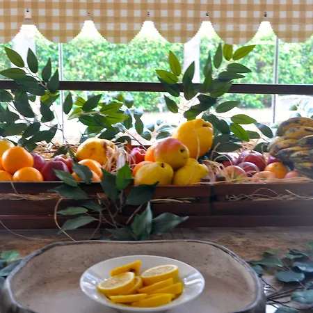 호텔 Olira Boutique Hotel&spa 3*