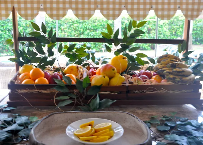 酒店 Olira Boutique Hotel&spa 3*