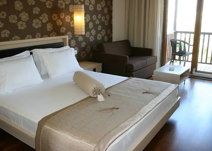 酒店 Olira Boutique Hotel&spa 3*