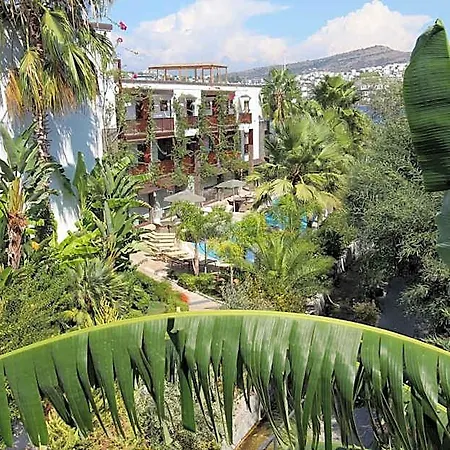 מלון Olira Boutique Hotel&spa