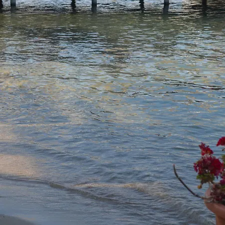 Olira Boutique Hotel&spa Hotel 3*