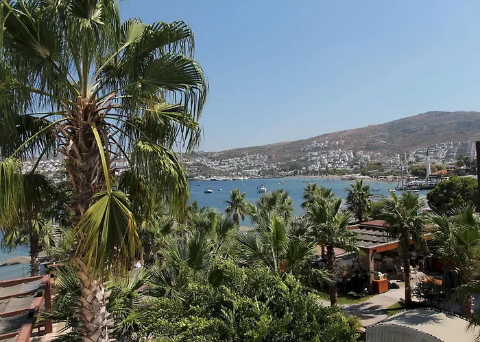 Olira Boutique Hotel&spa ホテル 3*