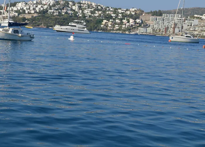 Olira Boutique Hotel&spa 3*