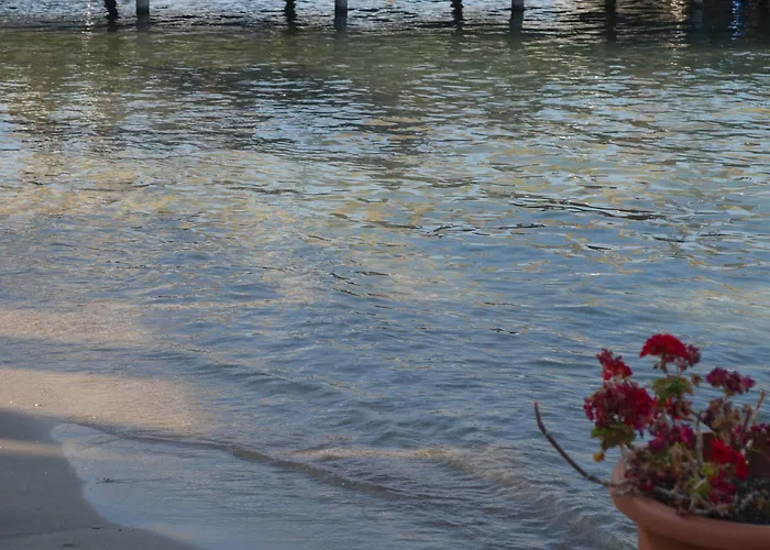 Olira Boutique Hotel&spa ホテル 3*